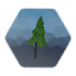 Polay gonal evergreen