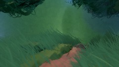 Dedicous Forest