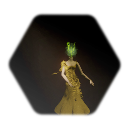 The lady of the gala