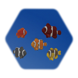Clown fish Collection