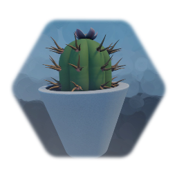 Cactus Pot