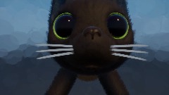 What my cat did to me today - 2/16/2025