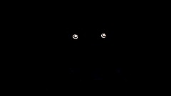 Five nights at Freddys the evil four