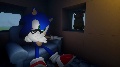 Sonic does this and that collection!
