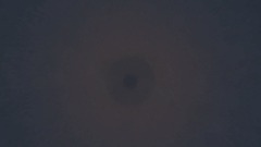 A screenshot taken in Dreams. 1 of 10.