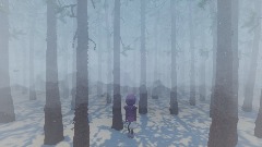 Skookum National Forest