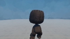 Sack Shaker but better and normal