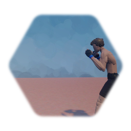 Kickboxing Combo test