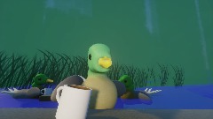 Dhm 30min creation challange duck Coffee