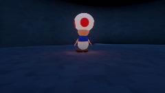 Adventure Toad level 2