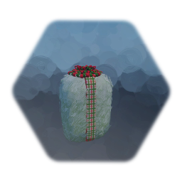 Snow covered Box Hedge Christmas Package