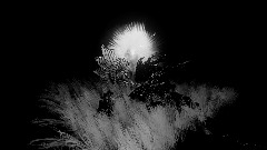 The House of Shadow and Light*****