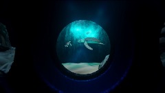 finding nemo submarine voyage.