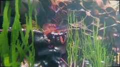 A screenshot taken in Dreams. 21 of 26.