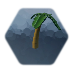 Palm Tree