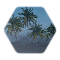 Coconut Palm Tree Swaying