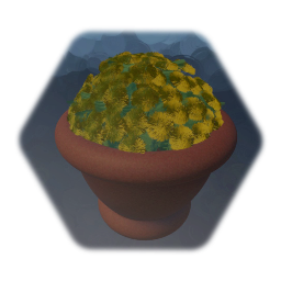 Mum Flowers in Terra Cotta Plant Pot
