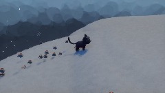 Cat summer and winter