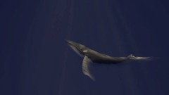 A screenshot taken in Dreams. 14 of 18.