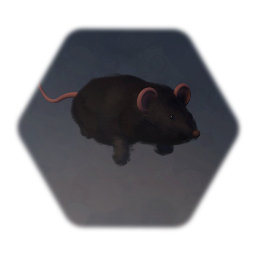 Dark Rat