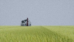 Field