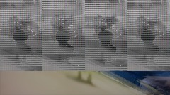 Stealth... The Sapphire Salamander VS The Dreamy Dragon!