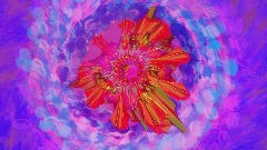 Midnight Mexico party song by ffgjsfg