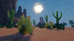 Desert landscape