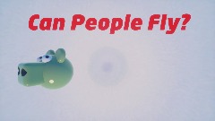 Can People Fly?