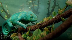 A screenshot taken in Dreams. 19 of 26.