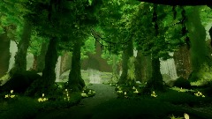 The Enchanted Forest