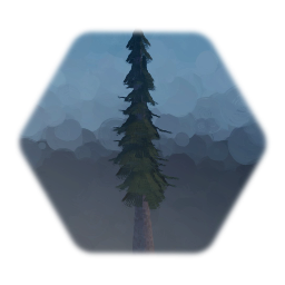 Pine Tree 1