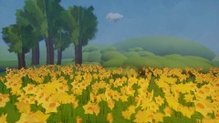 Daffodils