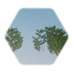 Poisonous Sumac Tree