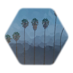 Venice Beach Mexican Fan Palm