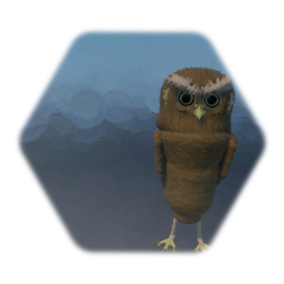 Owly 1.0