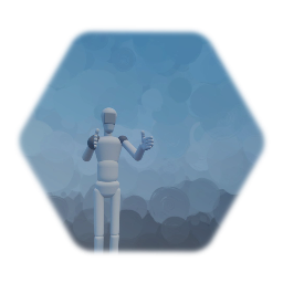 FPS Template W/ Camera controls