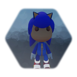 Sonic sackboy