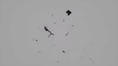 A Pondering Upon Reality