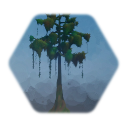Tall swamp tree with moss