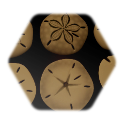 Sand Dollars