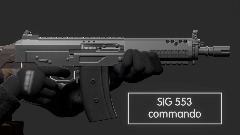 Chill SIG 553 animation