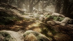 Ogenola Forest: Part 2