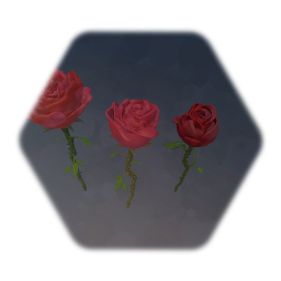 Roses