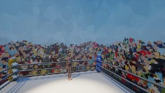 crazy wresling