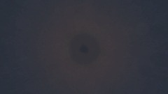 A screenshot taken in Dreams. 18 of 20.