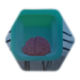 Brain in a box