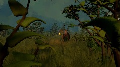 The Forbidden Forest