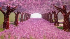 Spring blossom