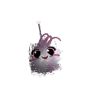 minicuervito